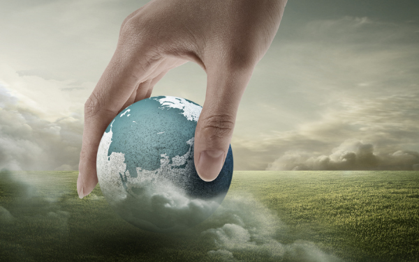 新昌尊龙凯时人生就是搏收支口有限公司